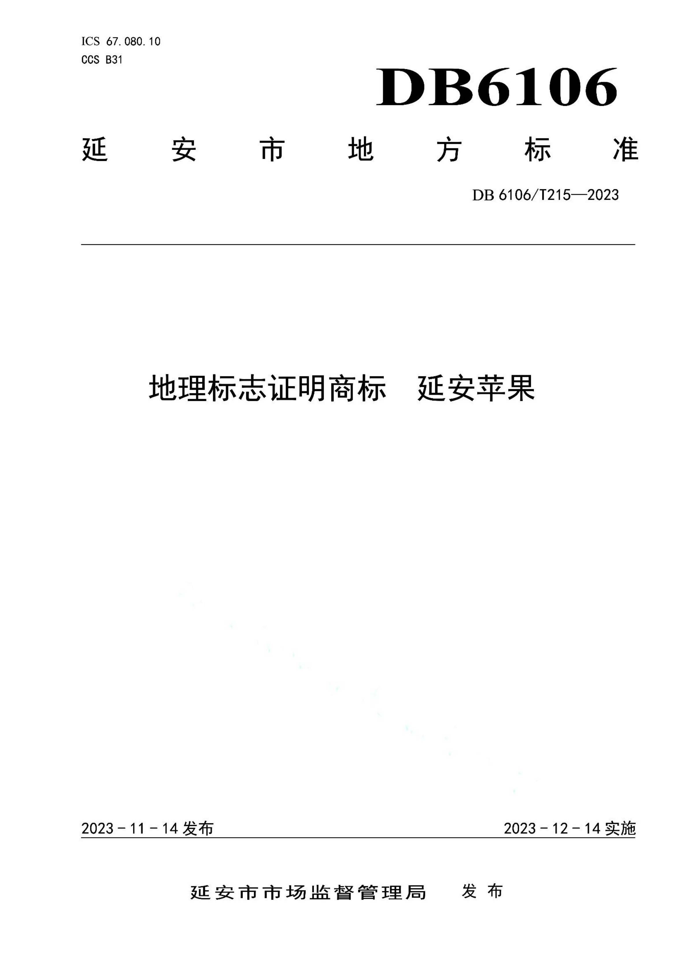 资源详情图